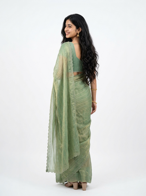 Organza Pastel Green Ombre Stone Stripe Designer Saree