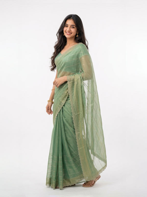 Organza Pastel Green Ombre Stone Stripe Designer Saree