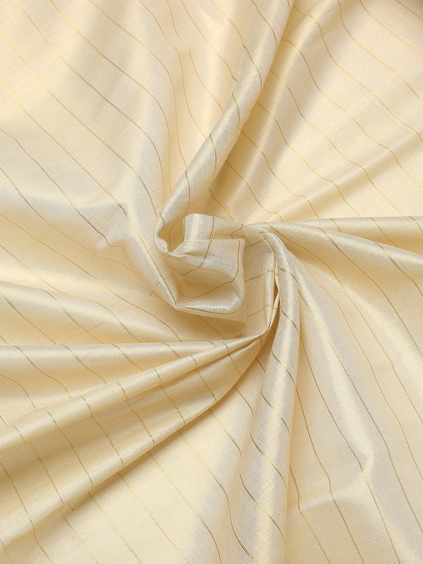 Golden Tissue Saree with Navy-Golden Accents and Woven Stripe Design