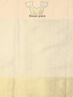 Golden Tissue Saree with Navy-Golden Accents and Woven Stripe Design
