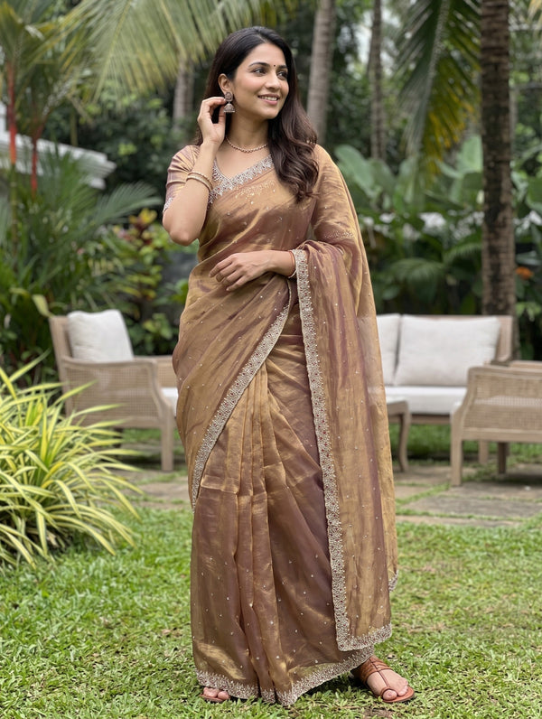 Chiffon Onion Brown stone Embellished Border Saree