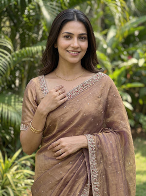 Chiffon Onion Brown stone Embellished Border Saree