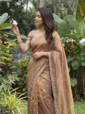 Chiffon Onion Brown stone Embellished Border Saree