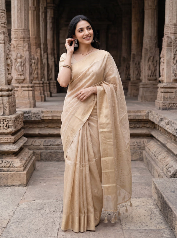 Banarasi Beige Self-Tone Dobby Floral Jacquard Border Saree