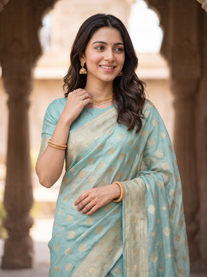 Banarasi Sea Green Zari Diamond Lattice Pallu Saree