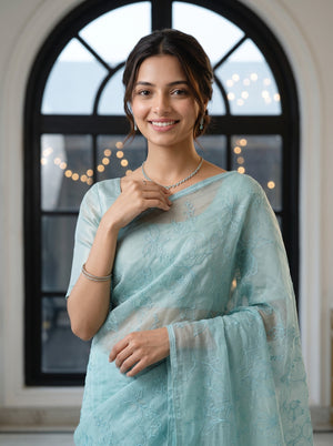 Organza Sea blue Saree with Floral Vine Embroidery