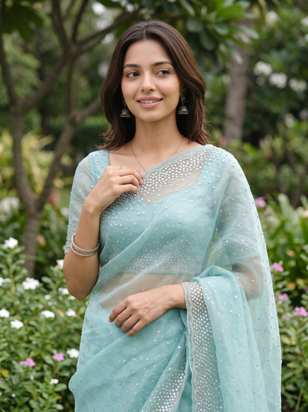 Organza Aqua Blue Pearl Sequin Stone Work Scattered Embroidered Saree