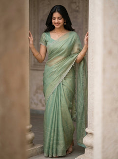 Organza Pastel Green Ombre Stone Stripe Designer Saree
